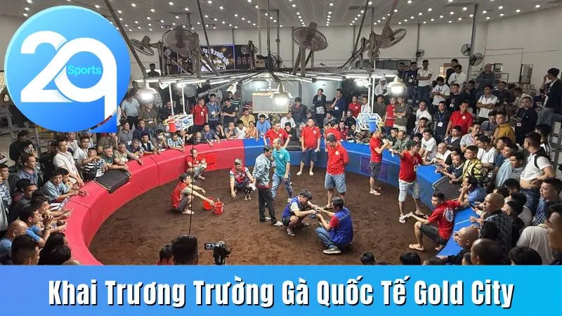 Khai trương trường gà quốc tế Gold City