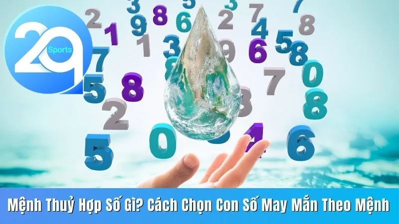 Mệnh Thủy hợp số gì